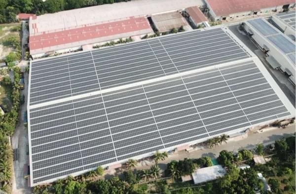 Embracing Green Energy 丨TKG has participated over 1000 new photovoltaic energy projects worldwide