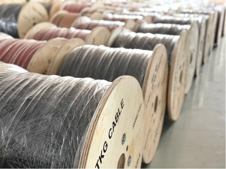 Building Global Reputation | TKG Awarded Zhejiang "Export Brand" Title