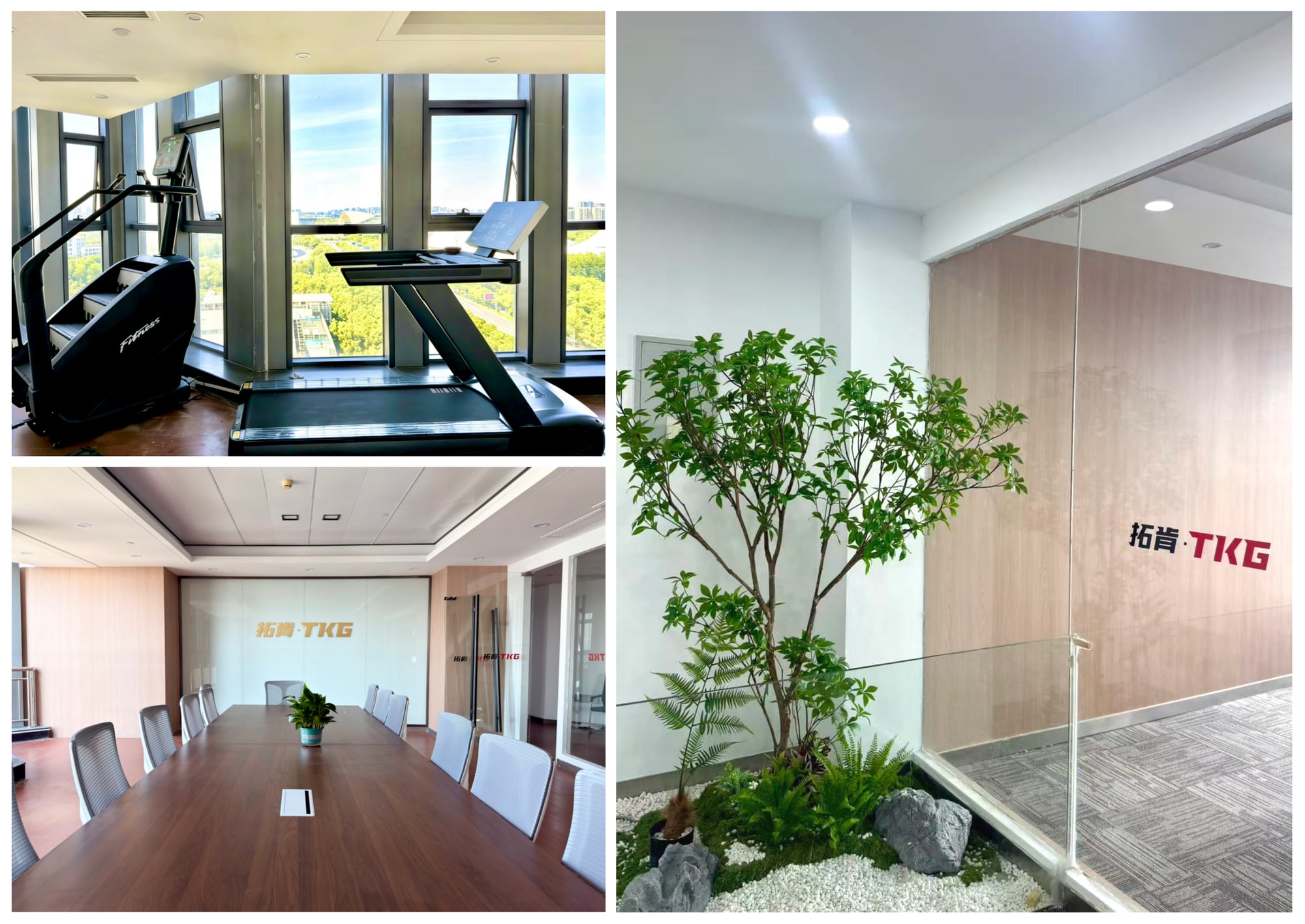 Capacity Expansion and Efficiency Improvement丨TKG Operations Center Office Area B Reopens After Renovation