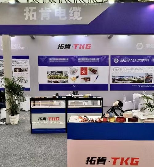 Communication industry丨TKG attended the Sino-German Automobile Conference