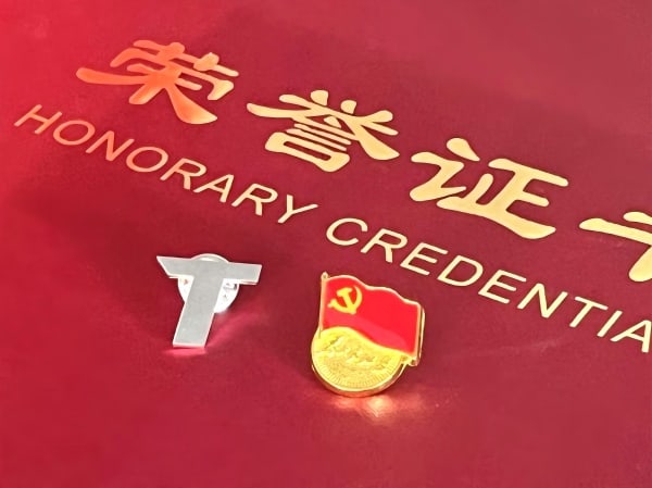 Excellence in Six Action Principles丨The TKG Party Branch Has Been Awarded the "Advanced Grassroots Party Organization"