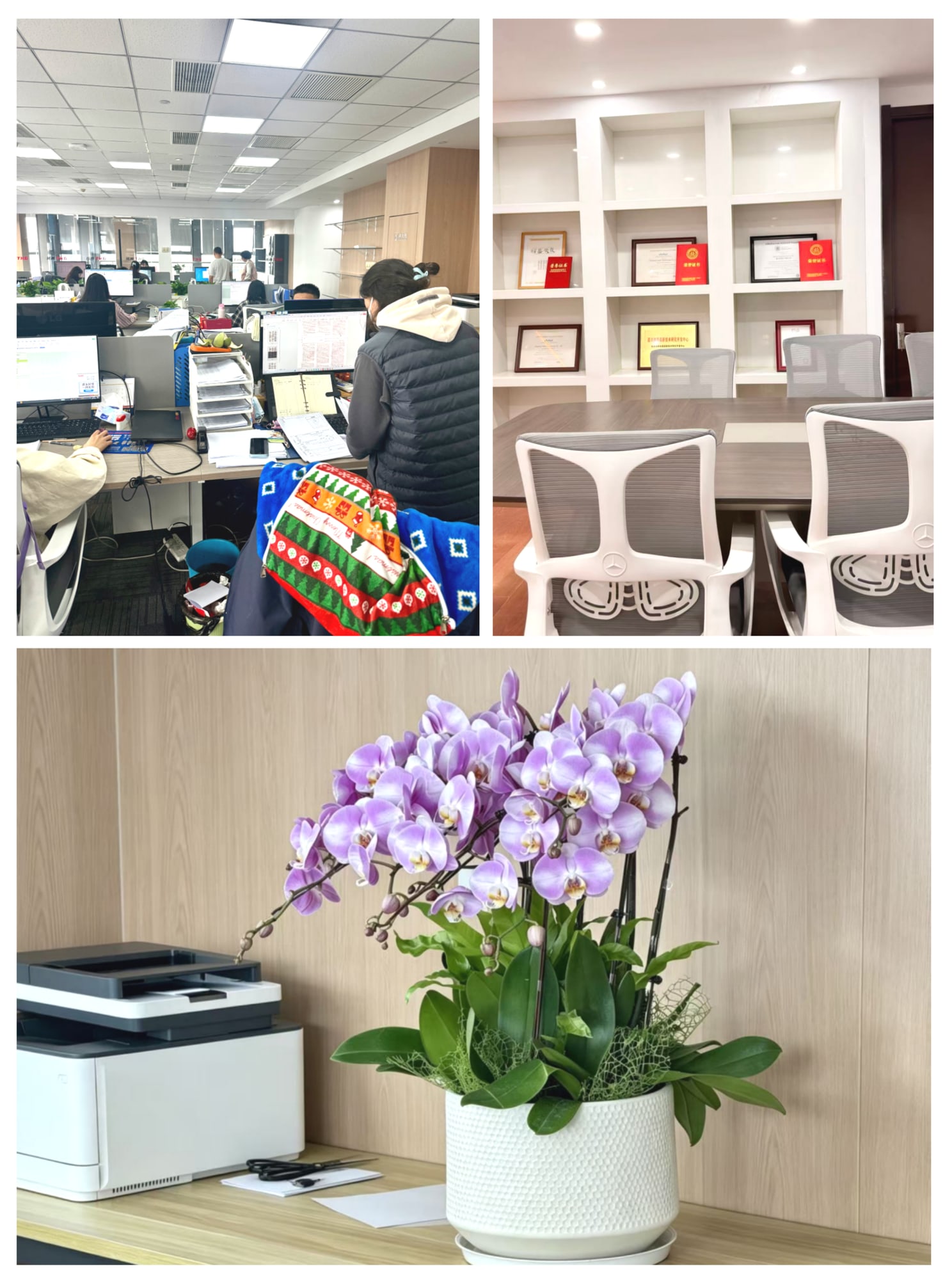 Capacity Expansion and Efficiency Improvement丨TKG Operations Center Office Area B Reopens After Renovation