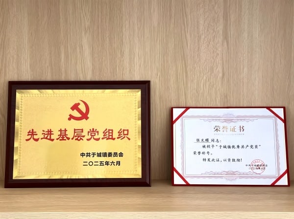Excellence in Six Action Principles丨The TKG Party Branch Has Been Awarded the "Advanced Grassroots Party Organization"